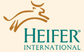 Heifer